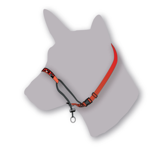 Black Dog Training Head Halter with Chin Clip main image