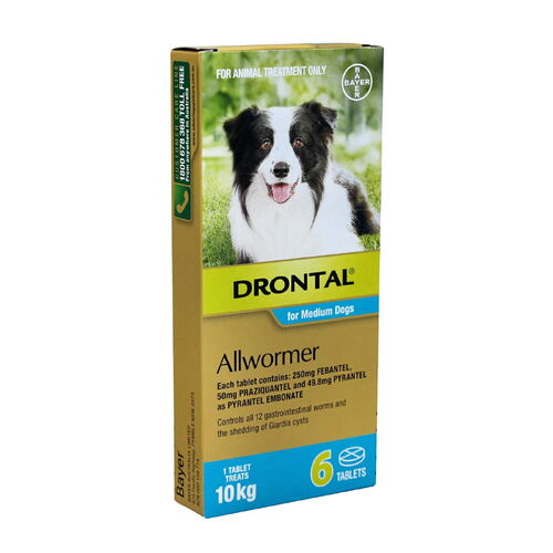 Drontal Intestinal All-Wormer for Medium Dogs to 10kg - 6 Tablets main image