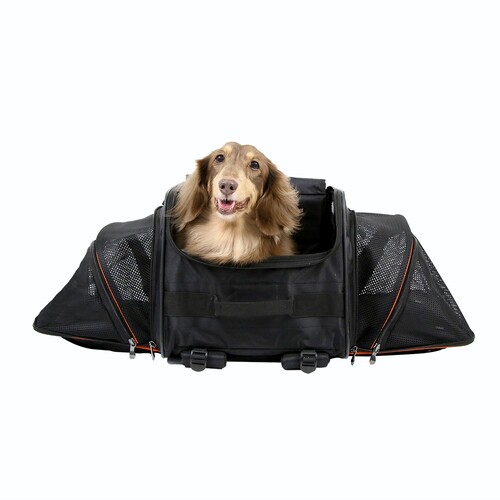 Ibiyaya JetPaw: Expandable Pet Carrier & Backpack - Obsidian/Orange  main image
