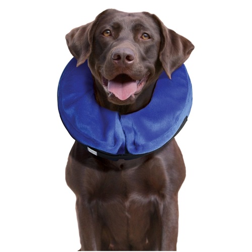 KONG Cloud Soft Elizabethan Cat and Dog Protective Medical Collar - X-Small main image
