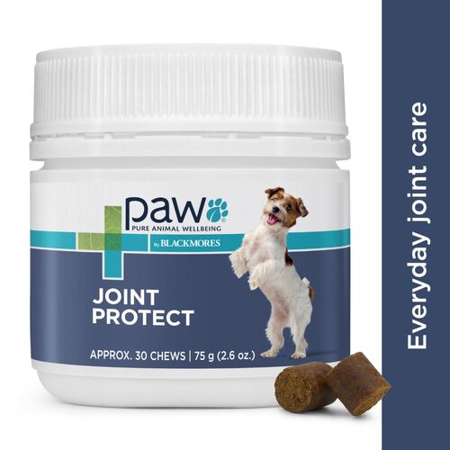 PAW Osteocare Joint Protect Health Chews for Dogs 75g/500g main image