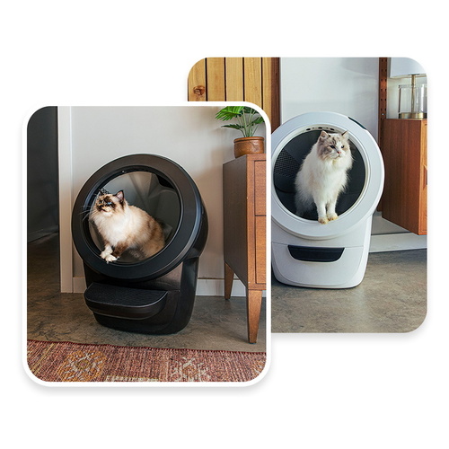 Litter Robot 4 Automatic Cat Litter System in Black or White main image