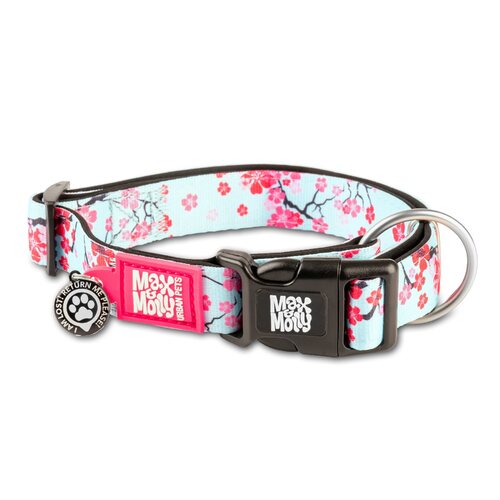 Max & Molly Smart ID Dog Collar - Cherry Bloom main image