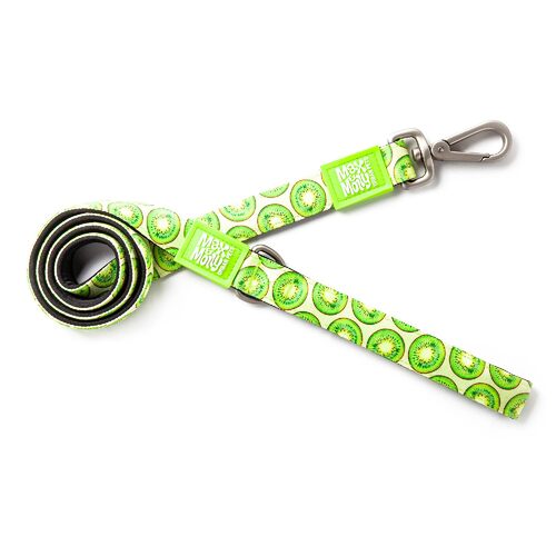 Max & Molly Dog Leash - Kiwi main image