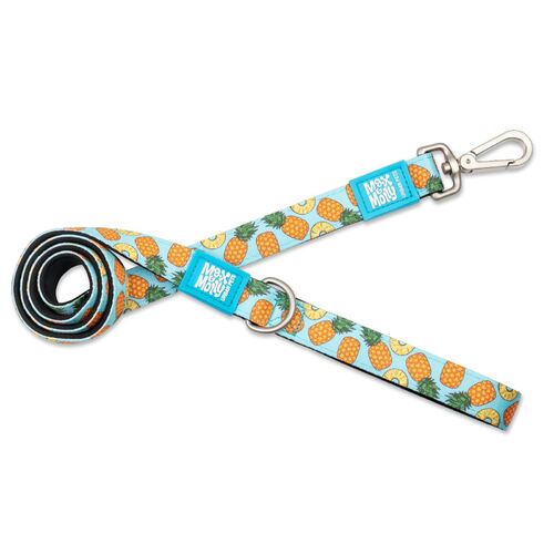 Max & Molly Dog Leash - Sweet Pineapple main image