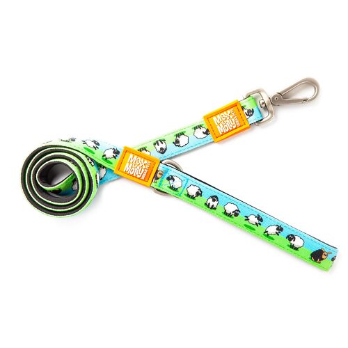 Max & Molly Dog Leash - Black Sheep main image