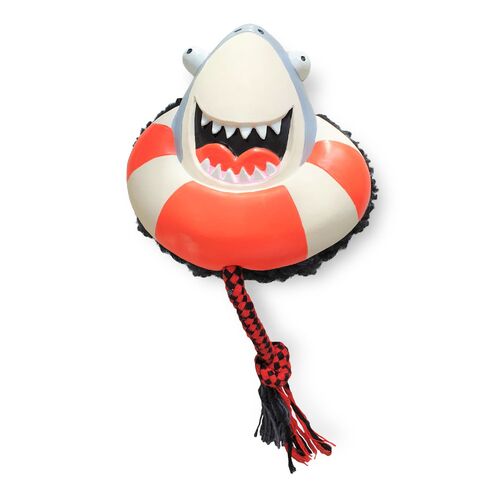 Max & Molly Squeaker Snuggles Dog Toy - Frenzy the Shark main image