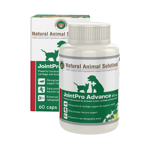 Natural Animal Solutions JointPro Advance for Cats & Dogs 60 capsules main image