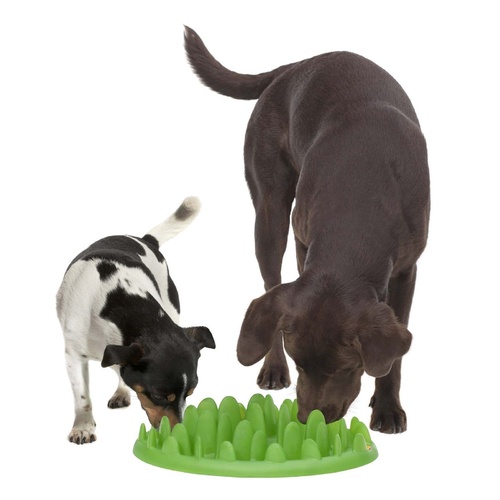 Northmate Green Interactive Slow Food Dog Bowl main image