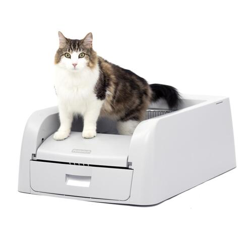 PetSafe ScoopFree Self-Cleaning Cat Litter Box for Clumping Litter - NEW Model main image