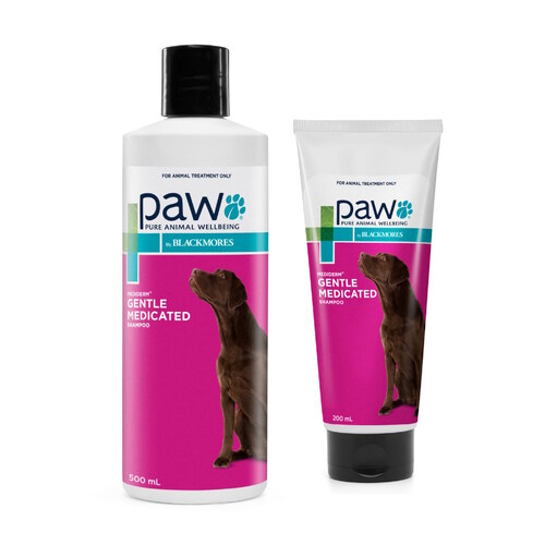 PAW by Blackmores MediDerm Gentle Medicated Shampoo for Dogs 200ml/500ml main image