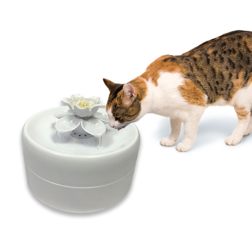 Pioneer Pet Magnolia Petal Fresh Water Pet Drinking Fountain 1.6 Litres main image