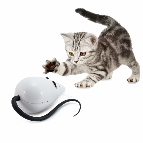FroliCat Rolorat Automatic Interactive Cat Teaser Toy main image