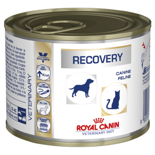 Royal Canin Recovery for Cats and Dogs