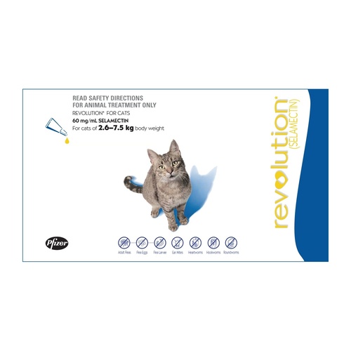 Revolution Flea, Intestinal Worm & Heartworm Control for Cats & Kittens main image
