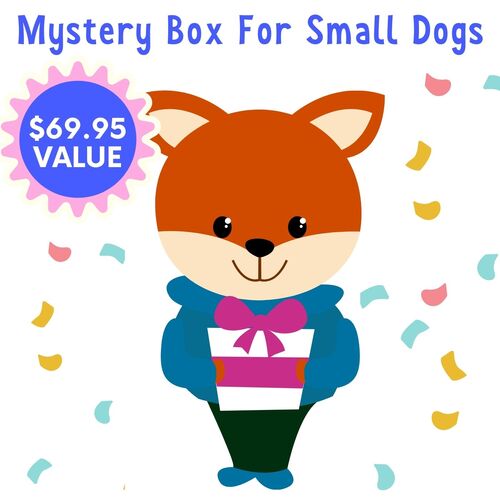 Super Mystery Surprise Box for Small Dogs - No subscription required! main image