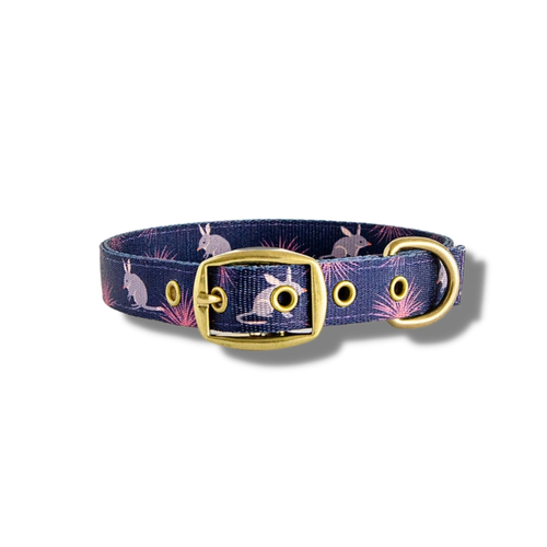 Anipal Billie The Bilby Brass & 100% Recycled Dog Collar main image