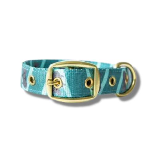 Anipal Kylo The Koala Brass & 100% Recycled Dog Collar main image