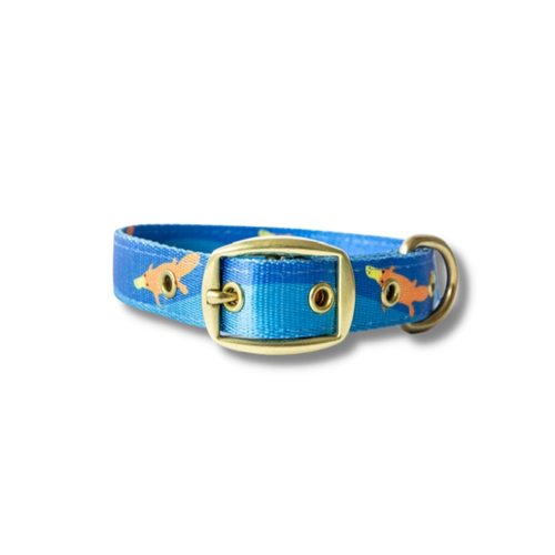 Anipal Piper The Platypus Brass & 100% Recycled Dog Collar  main image