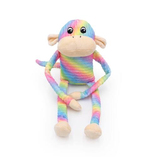 Zippy Paws Spencer the Crinkle Monkey Long Leg Plush Dog Toy - Large Rainbow  main image