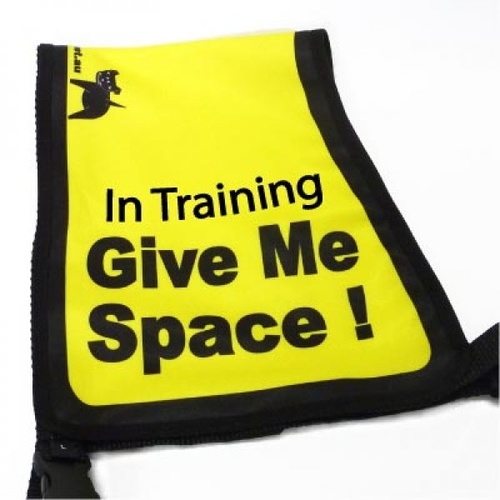Black Dog "Give Me Space" Awareness Vest for Dogs main image