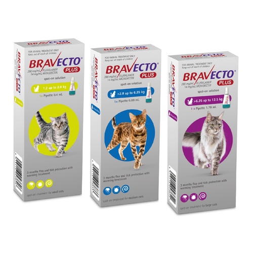 Bravecto PLUS Spot-On 3 month Flea, Tick & Worm Protection - For Cats of All Sizes main image