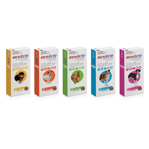 Bravecto Dog 3-Month Single Chew for Flea & Tick Control main image