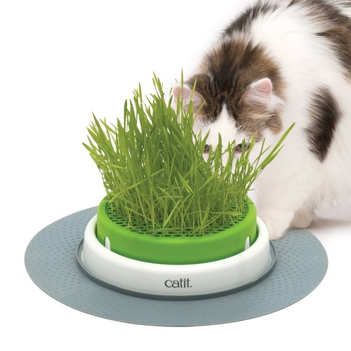 Catit 2.0 Cat Grass Planter Kit with Starter Grass Pack main image