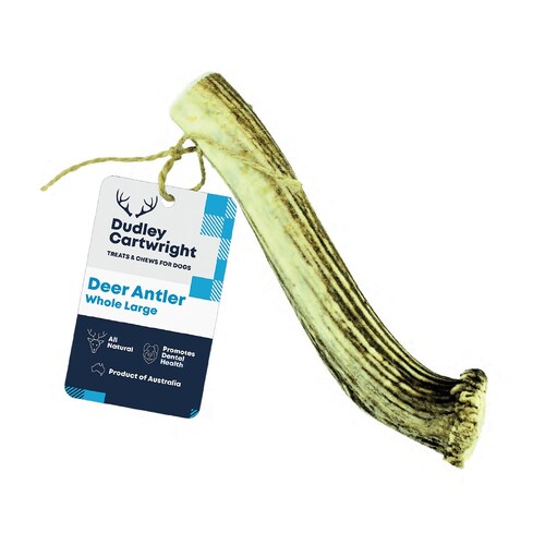 Dudley Cartwright Whole Antler Dental Dog Chew - Naturally shed main image