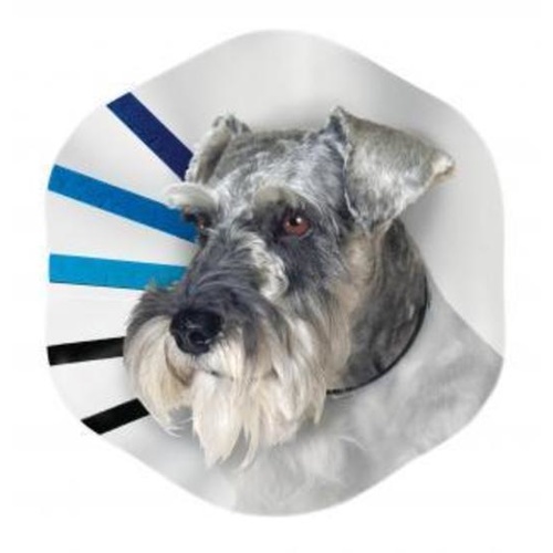 KONG EZ Clear Elizabethan Medical Collar for Cats & Dogs main image