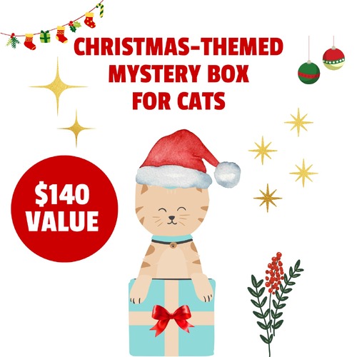 Lucky Pet Christmas Mystery Box of Treats and Toys for Cats & Kittens main image