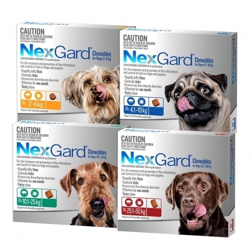 Nexgard Flea & Tick Chew for Dogs - 3 Pack main image