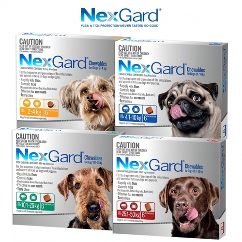 Nexgard Flea & Tick Chew for Dogs - 6 Pack main image