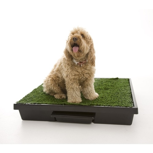 The Original Pet Loo for Indoor or Outdoor Use - 3 Sizes main image