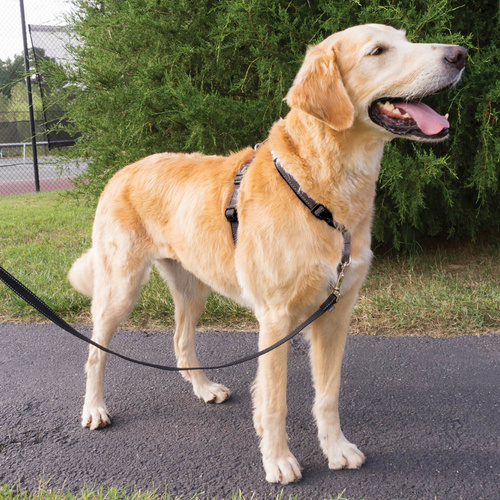 Petsafe 3-in-1 Anti-Pulling Dog Harness and Car Safety Restraint main image