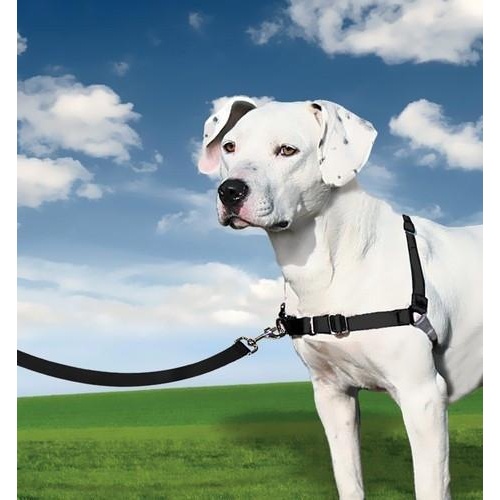 Petsafe Easy Walk Front-Attachment Harness and Lead Set main image