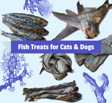 Why your pets should be eating fish logo