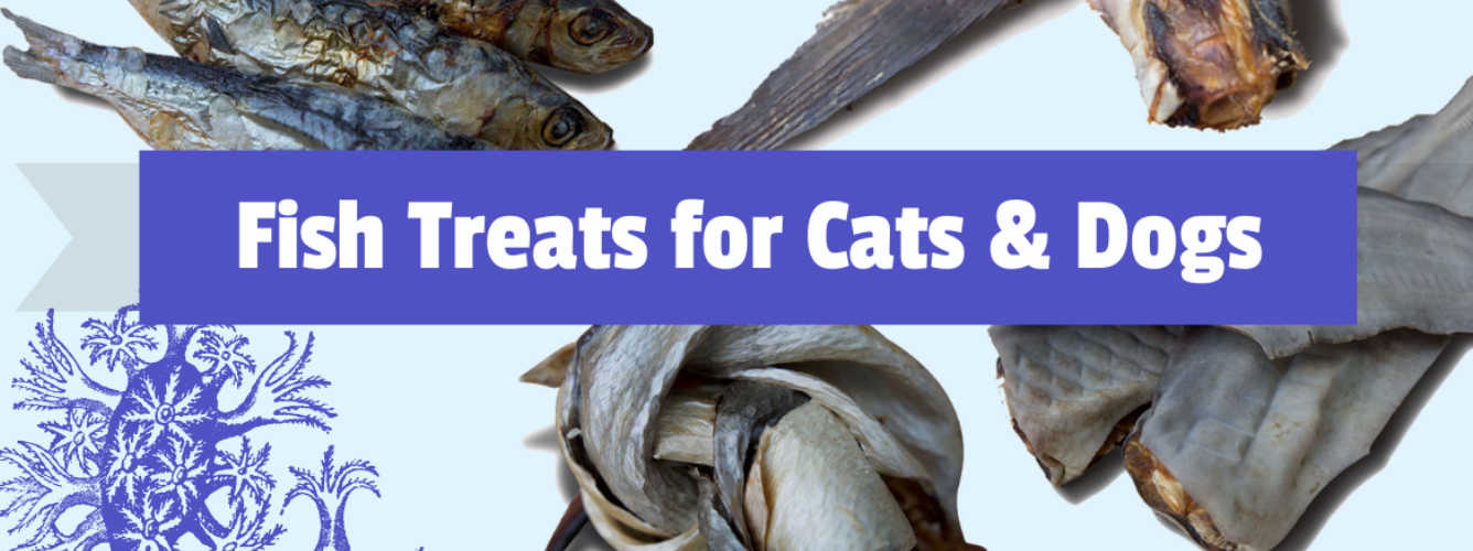 Why your pets should be eating fish logo