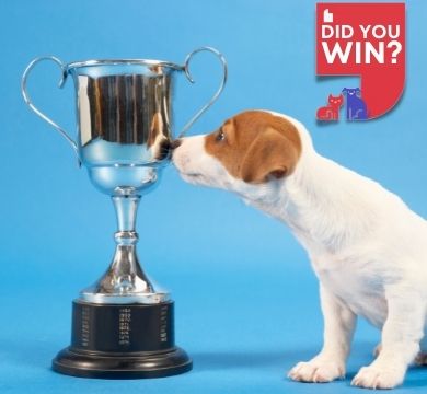 And the Winner of the Massive Lucky Pet Prize is... logo