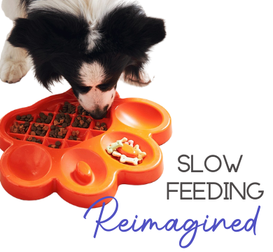 Slow Feeders Reimagined logo