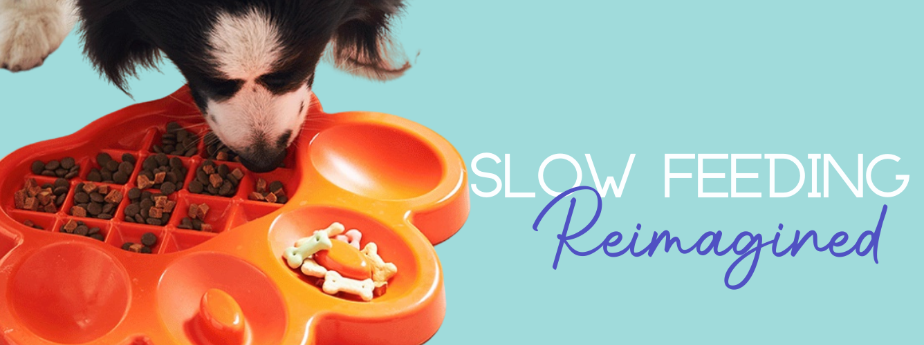 Slow Feeders Reimagined logo