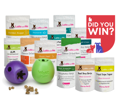 And the Winner of the September Lucky Pet Prize is... logo