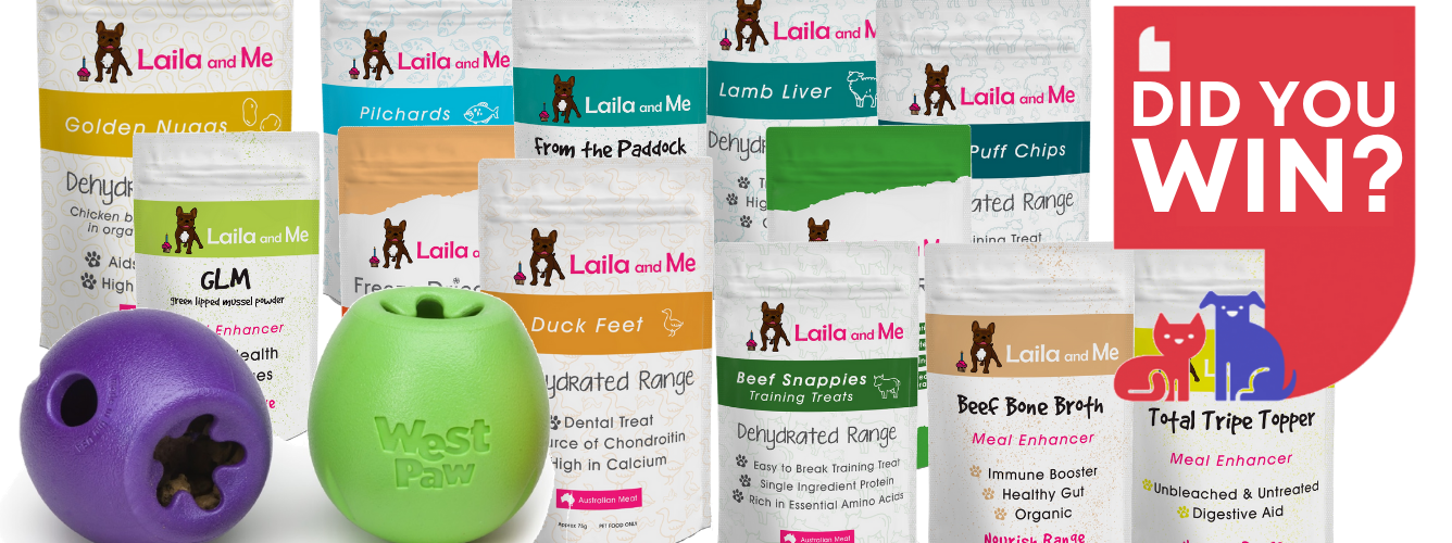 And the Winner of the September Lucky Pet Prize is... logo