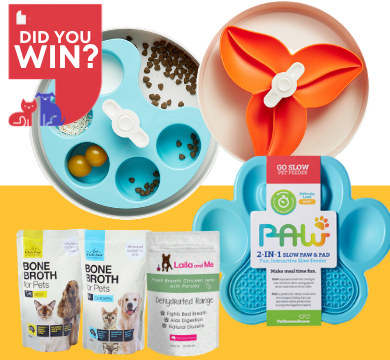 And the Winner of the October Lucky Pet Prize is... logo