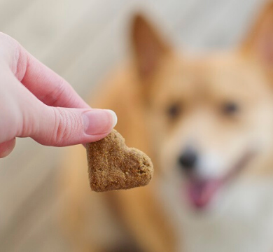 Dog Biscuit Appreciation Day logo