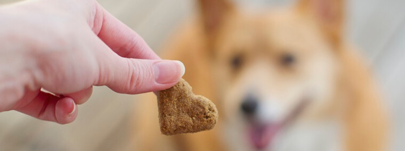 Dog Biscuit Appreciation Day logo