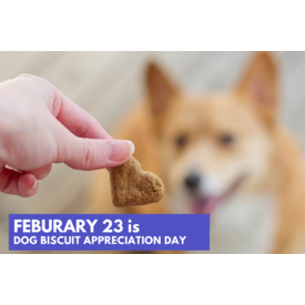 Dog Biscuit Appreciation Day