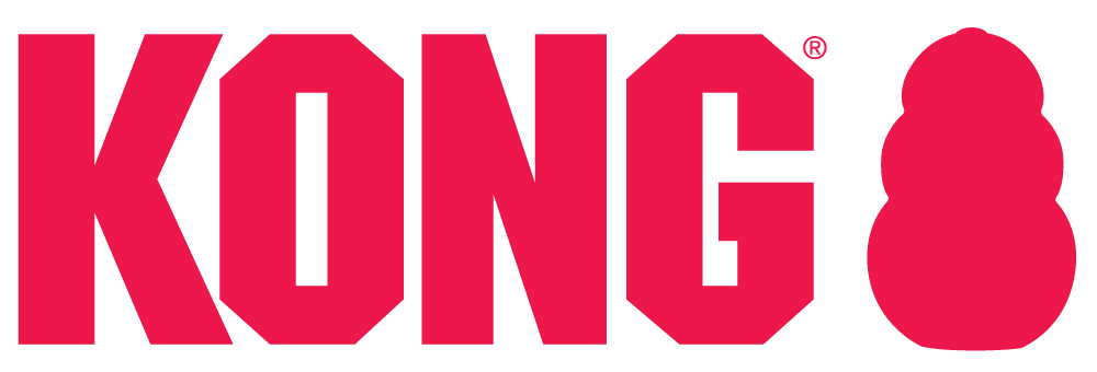 KONG logo