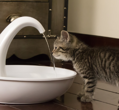 Pioneer pet swan pet drinking on sale fountain