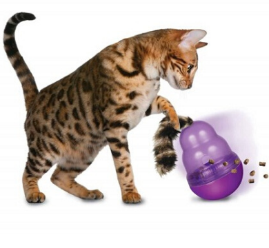 https://www.luckypet.com.au/assets/webshop/cms/62/12962-1.png?1593152186